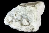 Quartz, Fluorite and Pyrite Crystal Association - Morocco #82795-1
